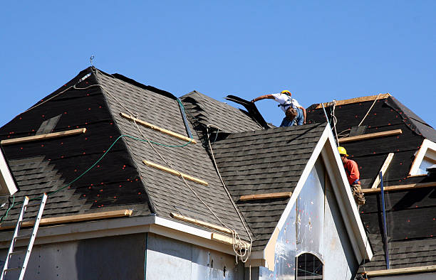 Best Gutter Installation and Roofing  in Newport, MN